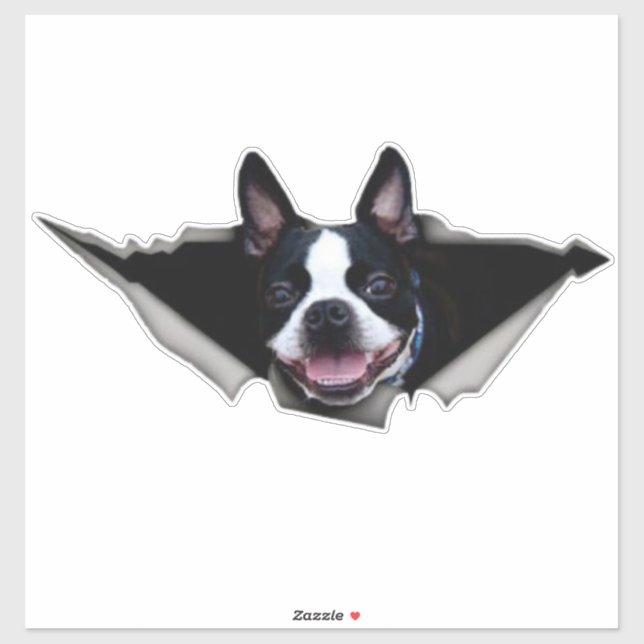 Pegatina de la ventana del Boston Terrier, pegatin (Hoja)