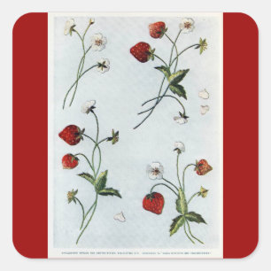 Pegatina de las fresas de Edwardian