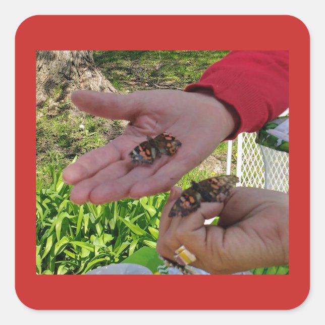 Pegatina de liberación de mariposa (Anverso)