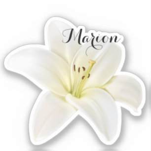 Pegatina de Lirio Blanco personalizado