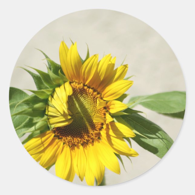 Pegatina de llamadas de Wakeup (Anverso)