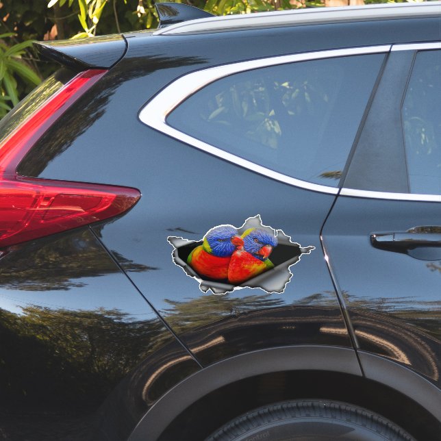 Pegatina de loro Loris Arcoíris – Ave vibrante  (Lado del coche)