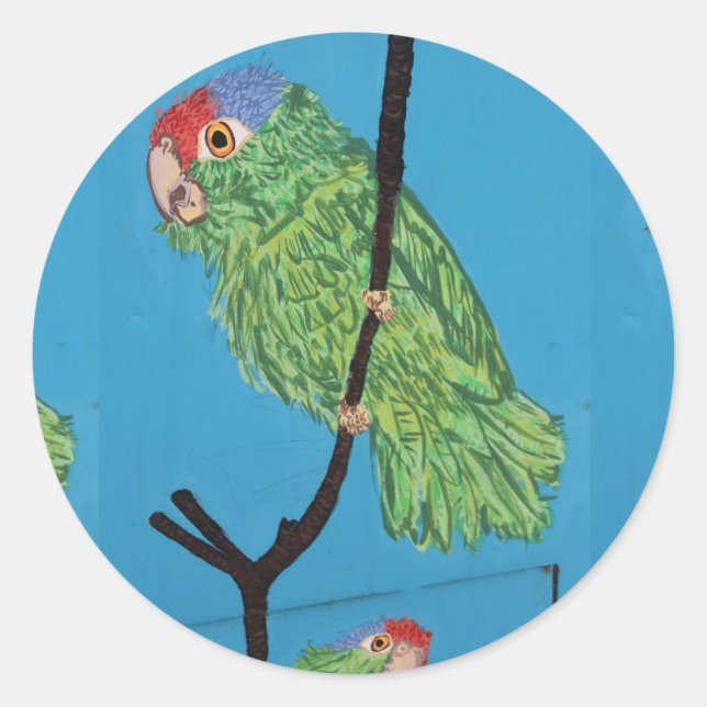 pegatina de loro verde (Anverso)