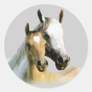 Pegatina de los Buques de Caballo