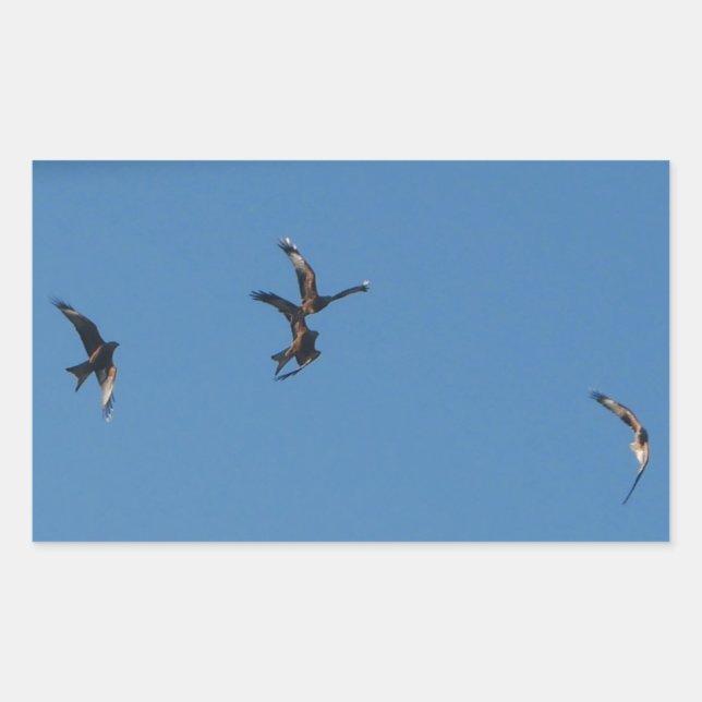 Pegatina de los cometas rojos (Anverso)