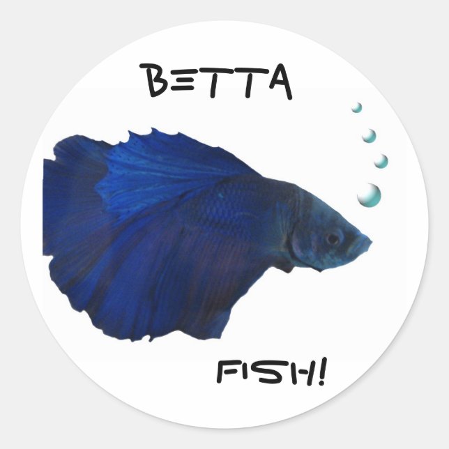 Pegatina de los pescados de Betta (Anverso)