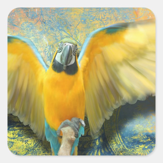Pegatina de Macaw Square (Anverso)