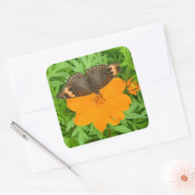 Pegatina de mariposa (Sobre)