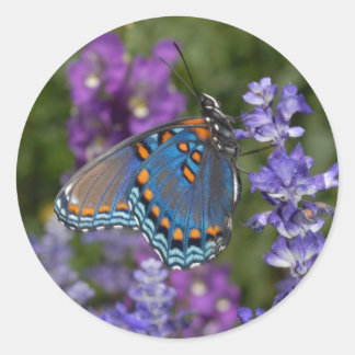 pegatina de mariposa #1