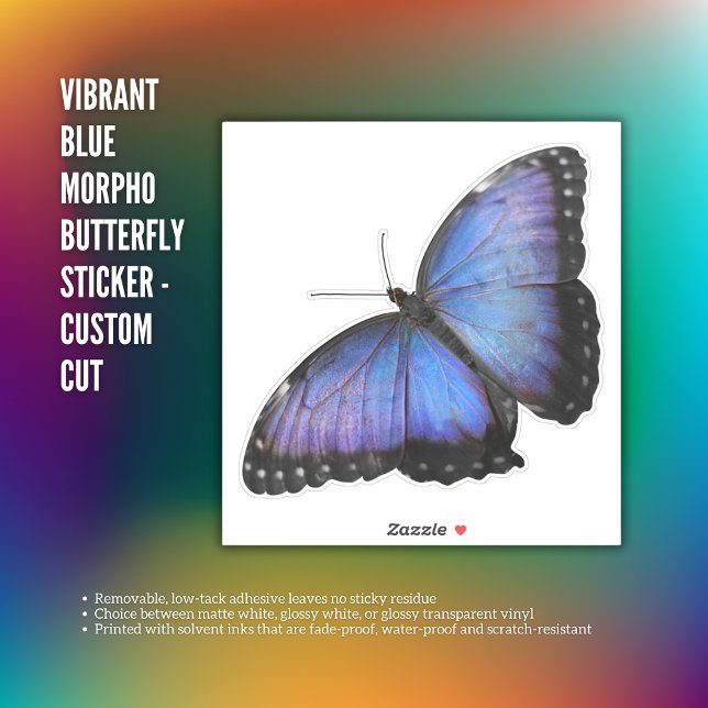 Pegatina de mariposa de morfo azul vibrante - cort (Vibrant Blue Morpho Butterfly Sticker - Custom Cut)