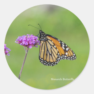 Pegatina de mariposa monarca