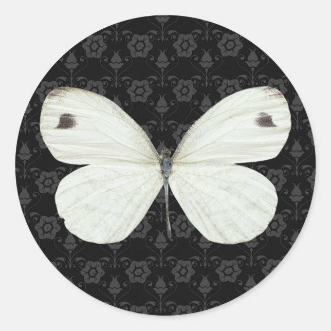 Pegatina de mariposa negra y blanca (Anverso)