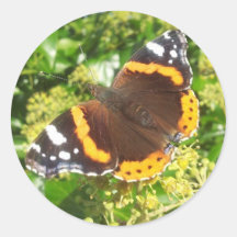 Pegatina de mariposa, Pegatina