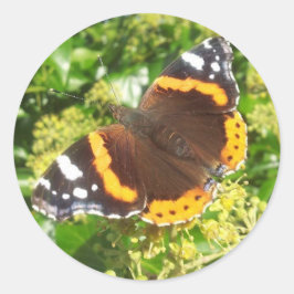 Pegatina de mariposa, Pegatina