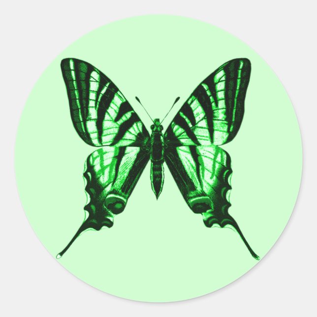 Pegatina de mariposa verde (Anverso)