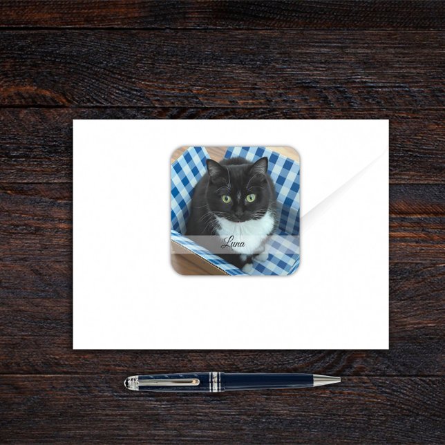 Pegatina de Mascota fotográfico con nombre (Subido por el creador)