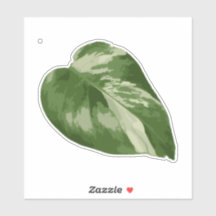 Pegatina de Monstera Variada – Hoja Clara Cortada
