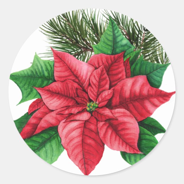 Pegatina de Navidad de Poinsettia (Anverso)