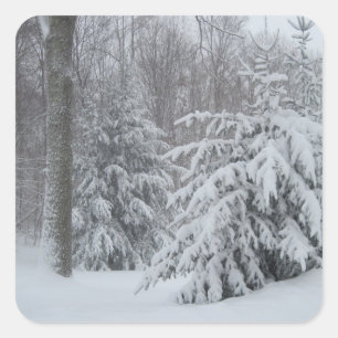 Pegatina De Nieve En Nueva Inglaterra