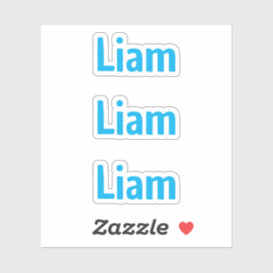 Pegatina de nombre para niños azul divertida y lin