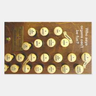 Pegatina de órganos divertidos