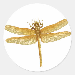 Pegatina de oro de la libélula