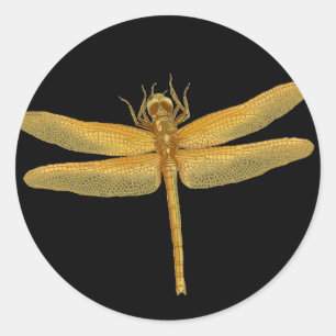 Pegatina de oro de la libélula