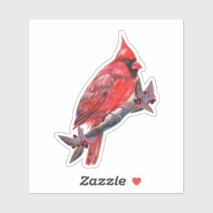 Pegatina de pájaro cardenal rojo Renee Lavoie