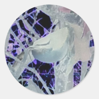 Pegatina de pájaro Incognito