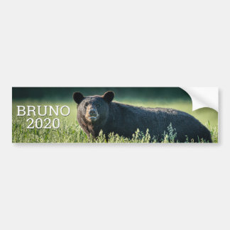 Pegatina de parachoques Bruno 2020