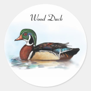 Pegatina de pato de madera