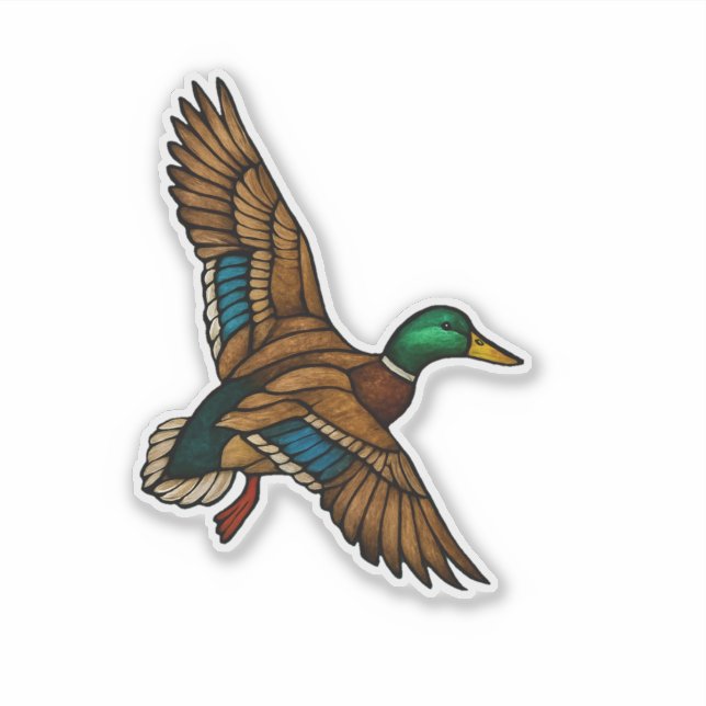 Pegatina de Pato Silbón (Anverso)