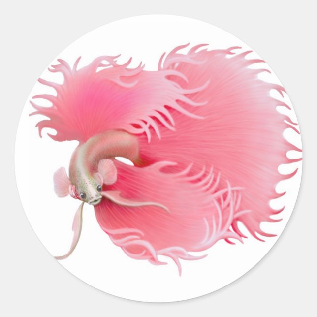 Pegatina de peces de Betta Splendens (Anverso)