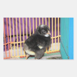 Pegatina de Peep Square