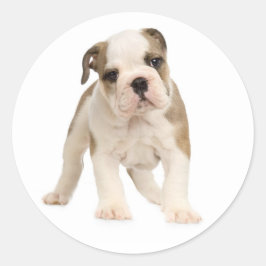 Pegatina de perro de cachorro/sello de Bulldog ing
