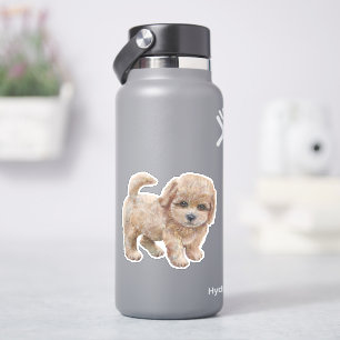 Pegatina de Perro de Cavapoo Puppy Cartoon