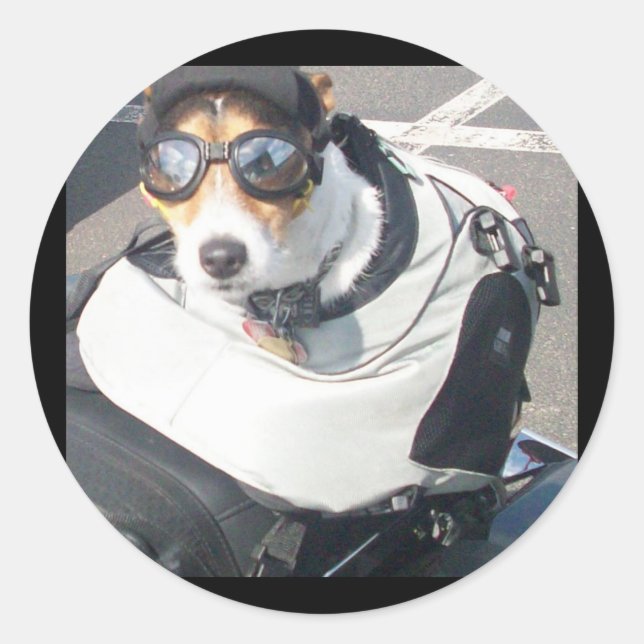 Pegatina de Perro de Hog (Anverso)