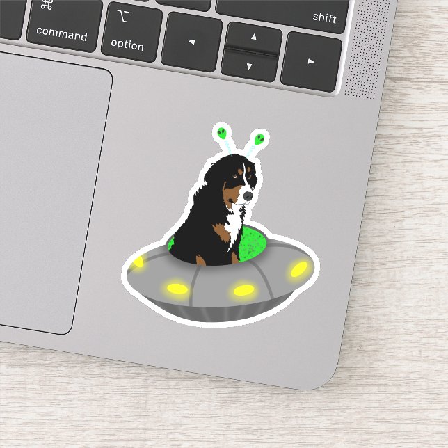 Pegatina de perro de montaña UFO Bernese (Detalle)