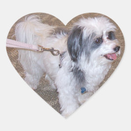 Pegatina de perros pequeños