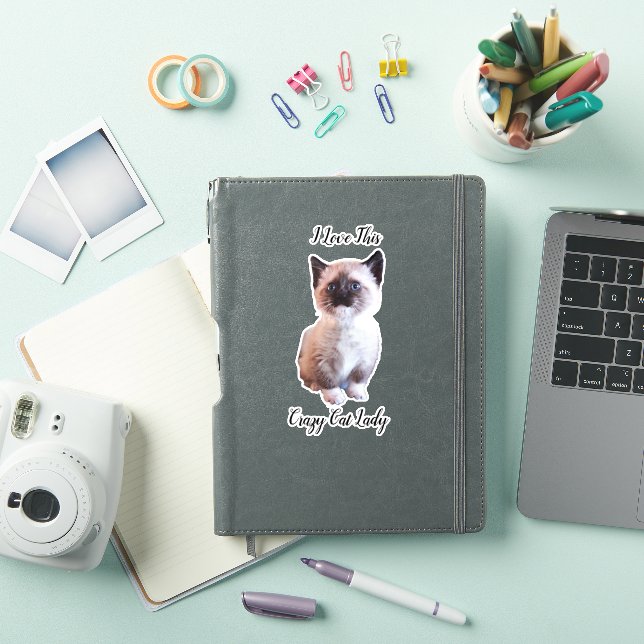 Pegatina de Personalizado de gatitos curados con o (Funda para iPad)