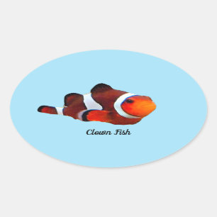 Pegatina De Pescado De Payaso