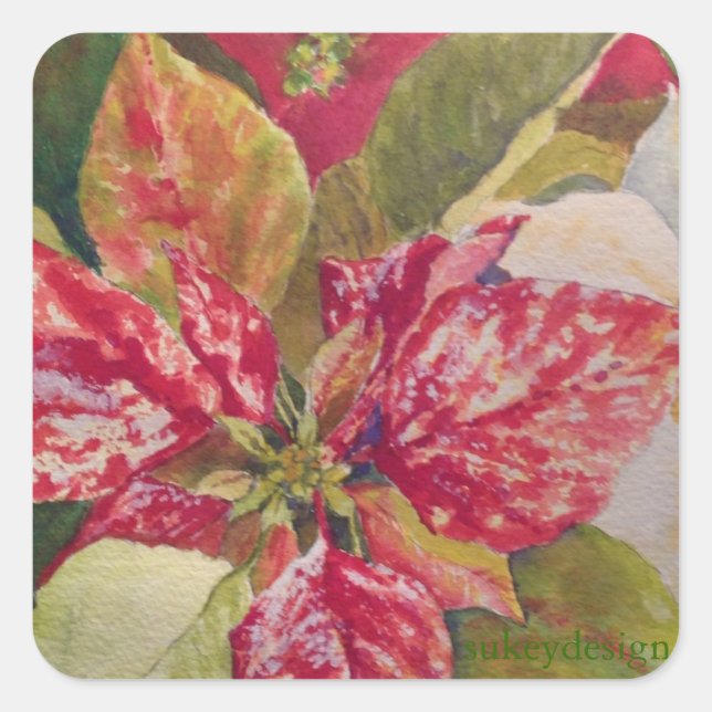 Pegatina de Poinsettia variada (Anverso)