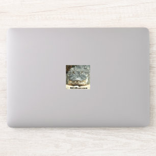 Pegatina de portátil de ligator desde NC4Ever.com