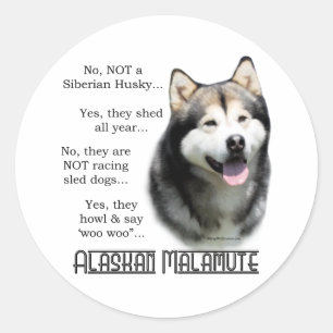 Pegatina de preguntas frecuentes de Alaskan Malamu