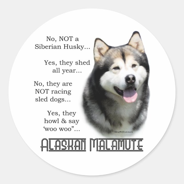 Pegatina de preguntas frecuentes de Alaskan Malamu (Anverso)