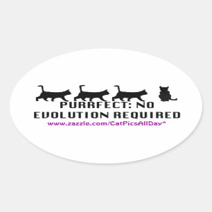 Pegatina de Promo de Evolución de Impacto