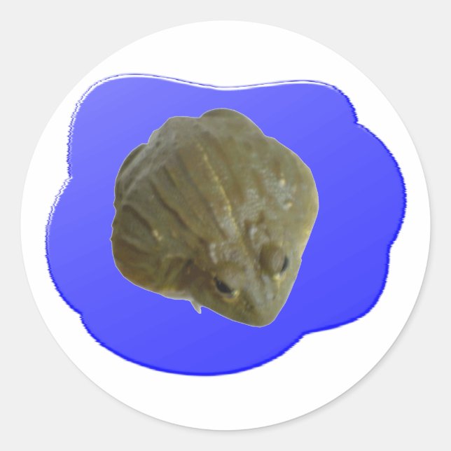 Pegatina de ranas torales (Anverso)