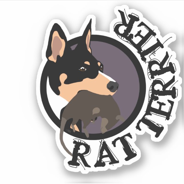 Pegatina de Rat terrier (Anverso)