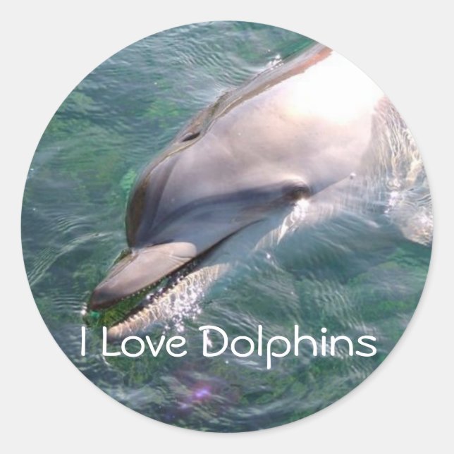 Pegatina de recompensa de profesor de Dophin Schoo (Anverso)