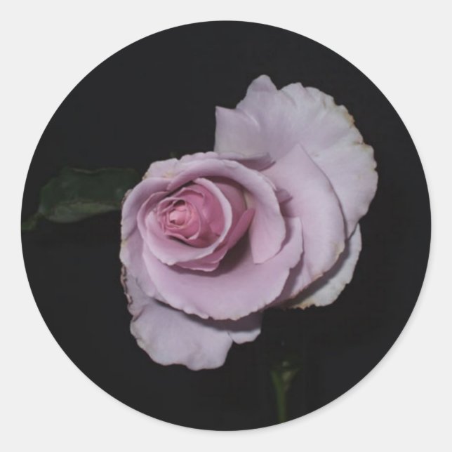 Pegatina de Recuerdos preciosos (Anverso)